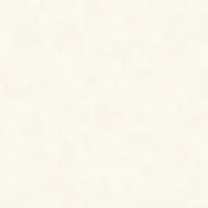 fenix_0029.webp