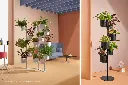 hevea-gallery-02.webp
