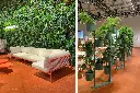 nolita-hevea-gallery.webp