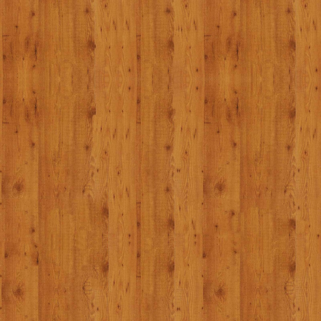 Pinie compact