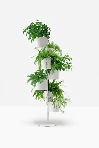 [PE 5181] Hevea bloempot