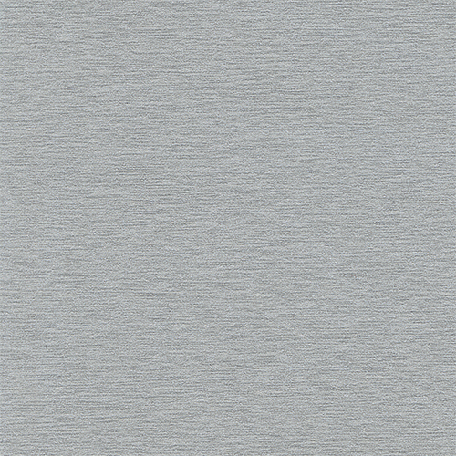[Top 0107] Brushed silver classicline