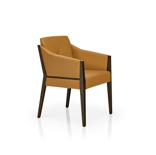 [M1111] Iris armstoel