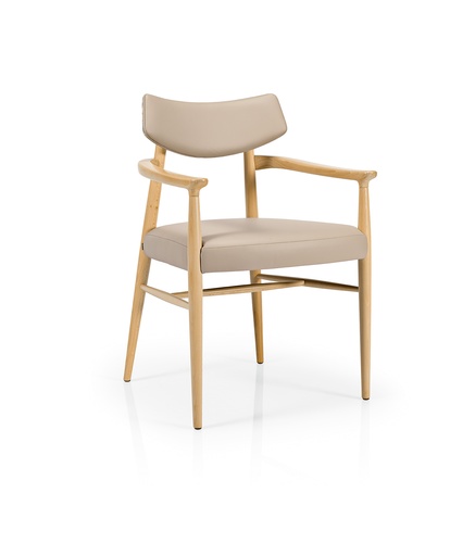 [M1131UU] Bizu armstoel